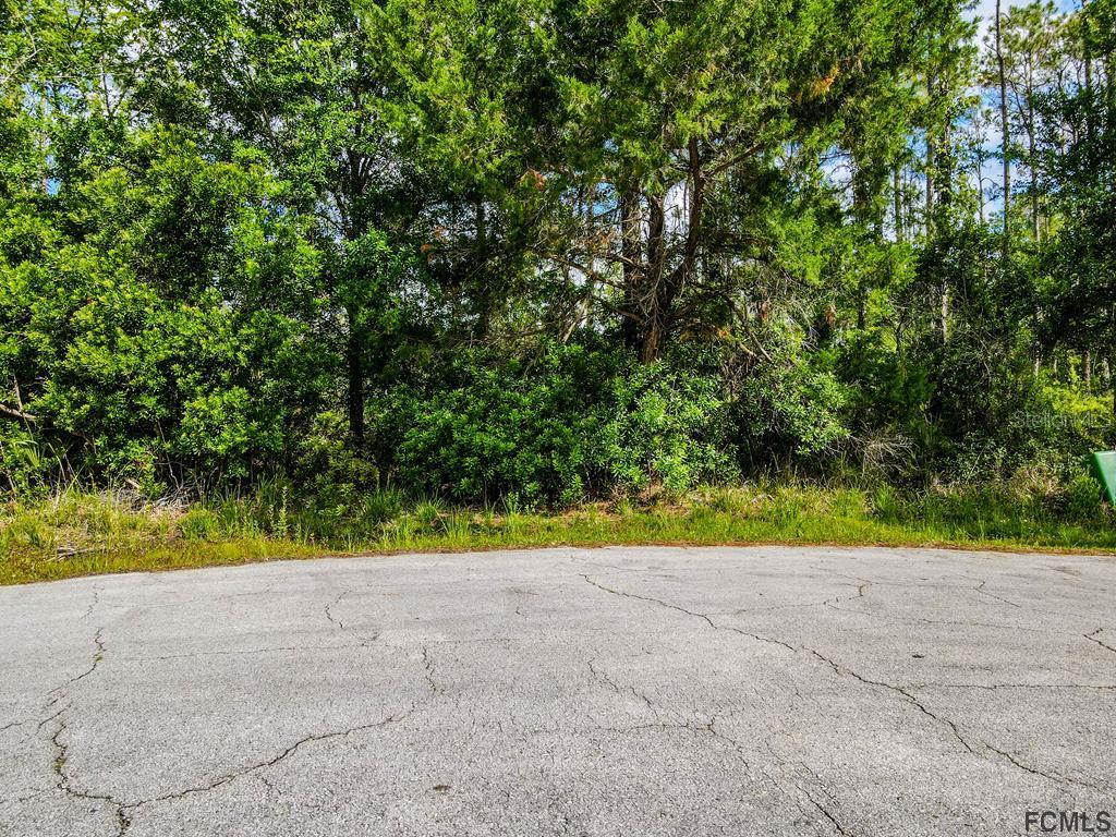 9 Kaslo Court Palm Coast FL 32164 FC276117 image1