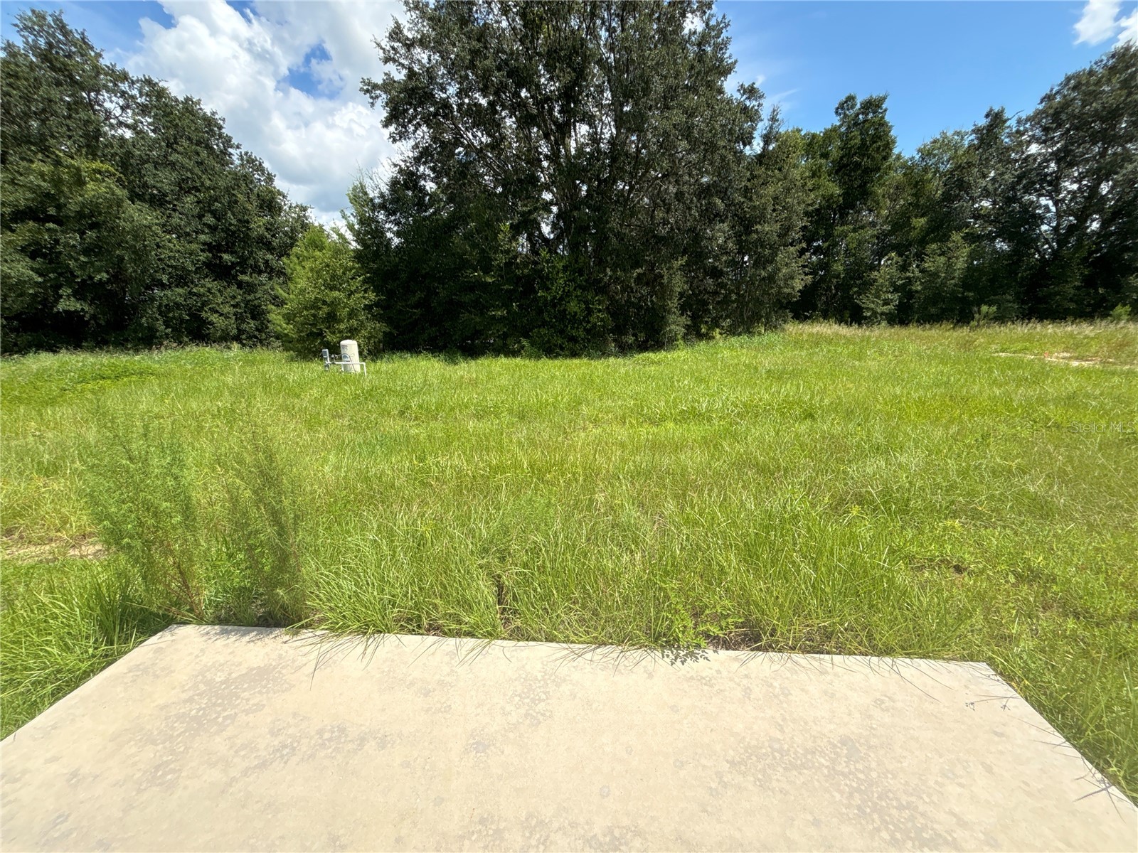9 Malauka Loop Lane Ocklawaha FL 32179 O6390458 image3