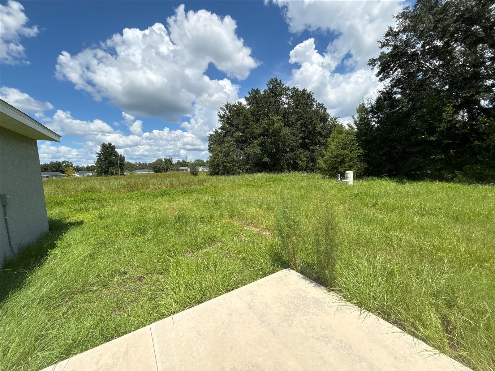 9 Malauka Loop Lane Ocklawaha FL 32179 O6390458 image4