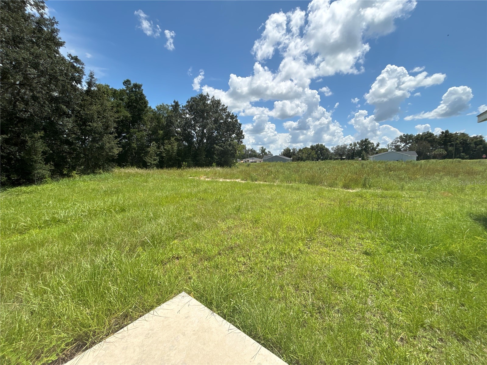 9 Malauka Loop Lane Ocklawaha FL 32179 O6390458 image5