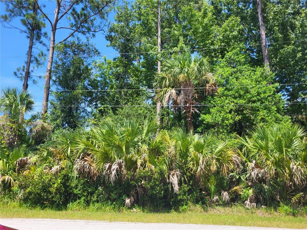 9 Pinelark Lane Palm Coast FL 32164 FC293653 image1