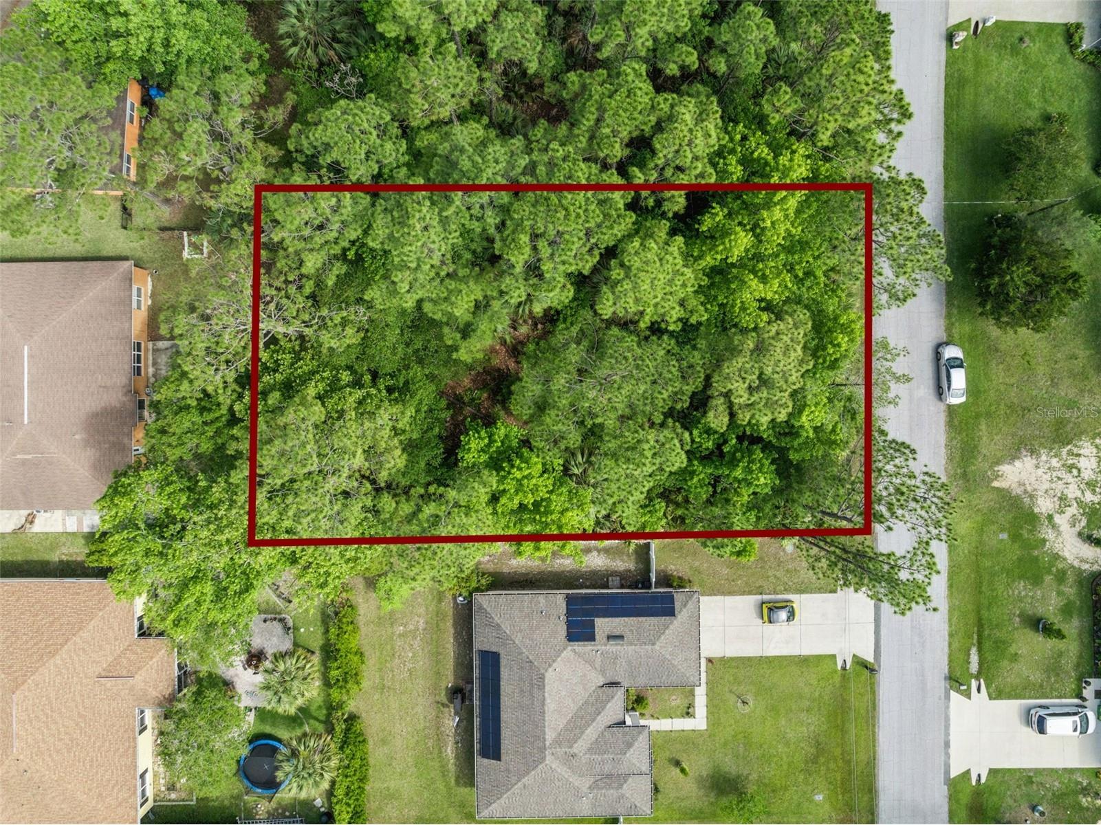 9 Pinelark Lane Palm Coast FL 32164 FC318815 image1