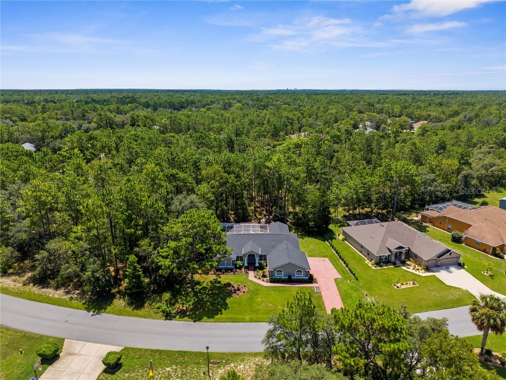 9 Plumbago Court Homosassa FL 34446 TB8410901 image4