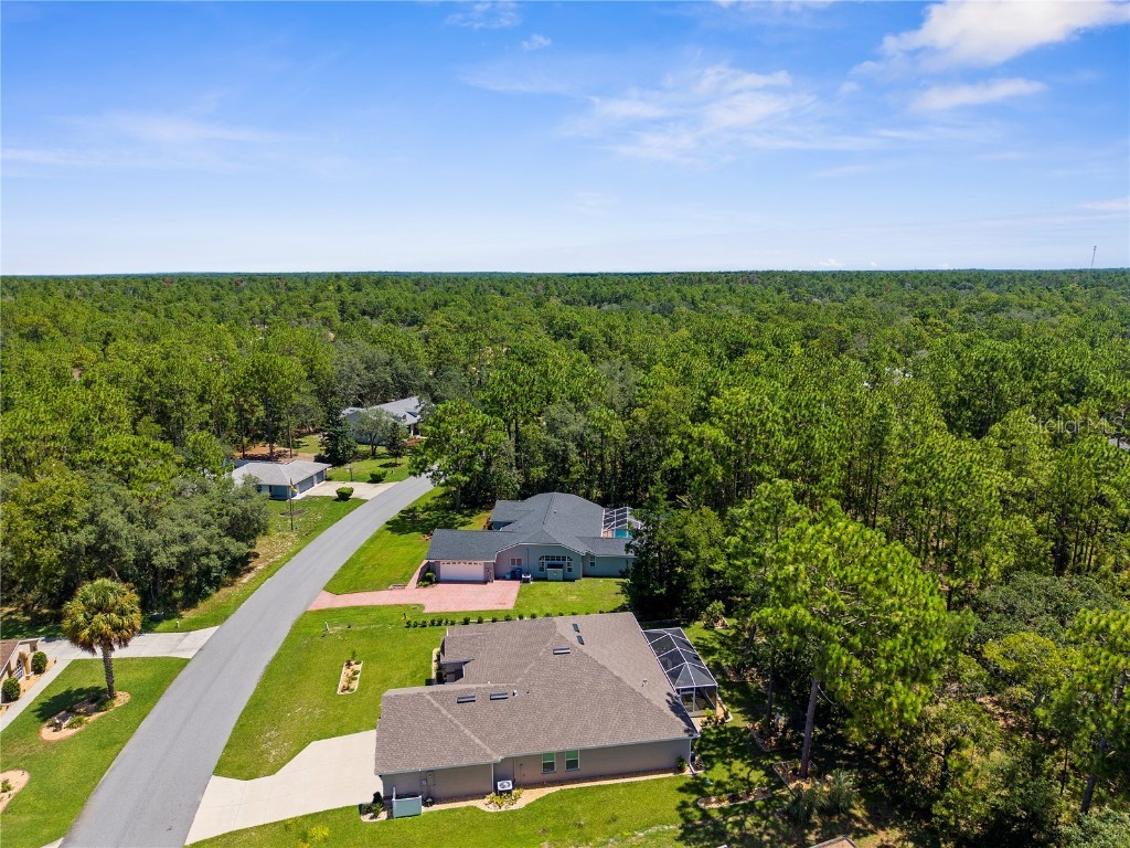 9 Plumbago Court Homosassa FL 34446 TB8410901 image55