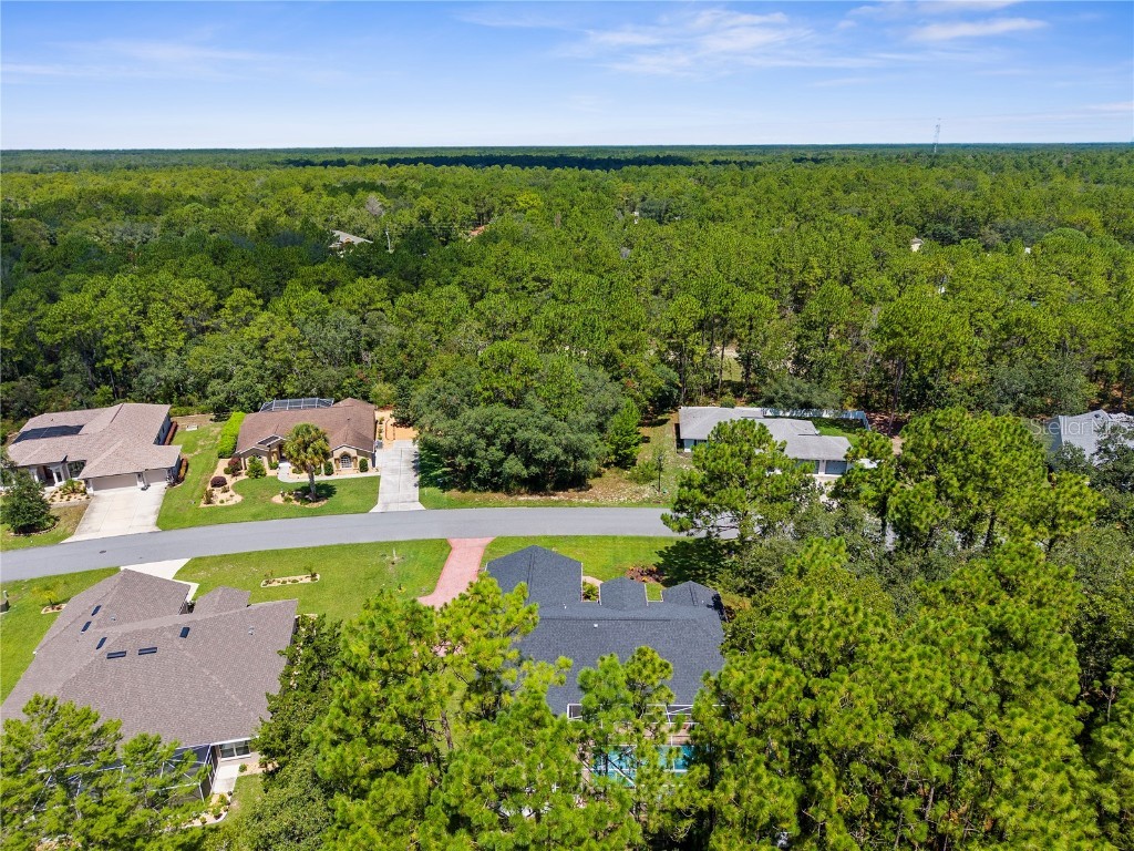 9 Plumbago Court Homosassa FL 34446 TB8410901 image56