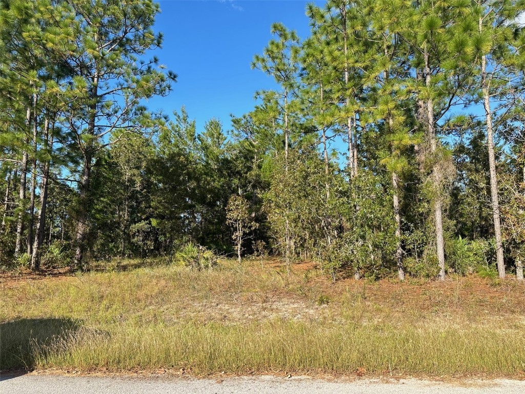 9 Poppy Street Homosassa FL 34446 W7869288 image1