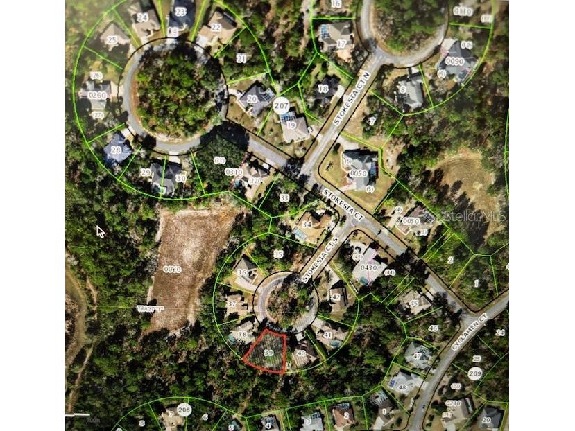 9 Stokesia Court S Homosassa FL 34446 W7864649 image1