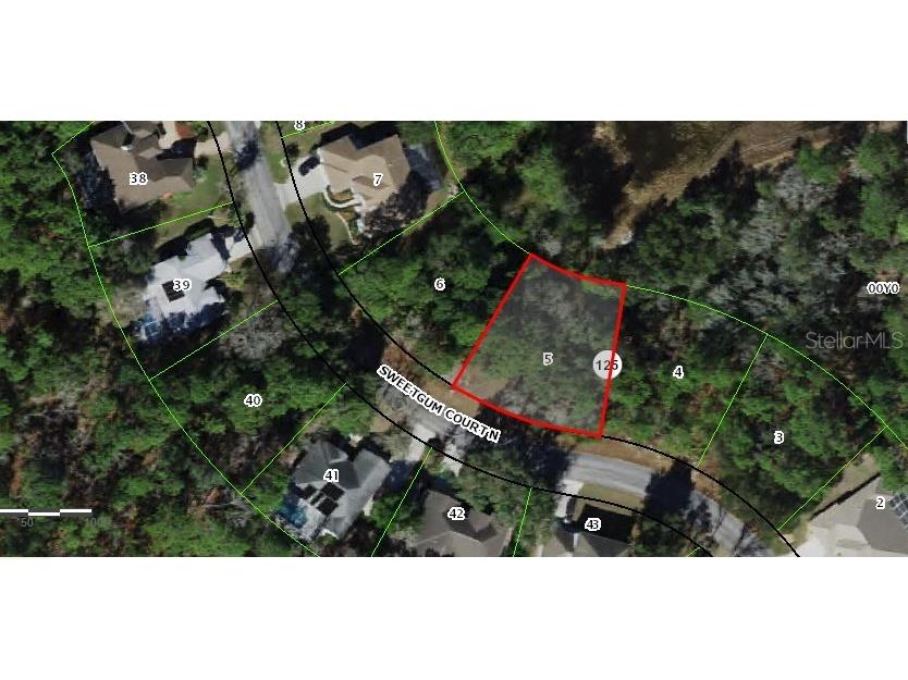 9 Sweetgum Court N Homosassa FL 34446 C7516959 image1