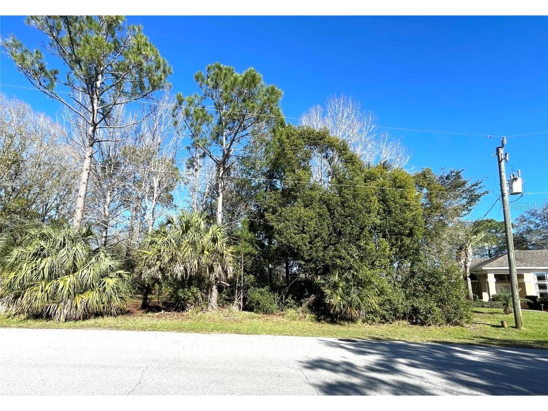 9 Watermill Place Palm Coast FL 32164 FC298311 image1