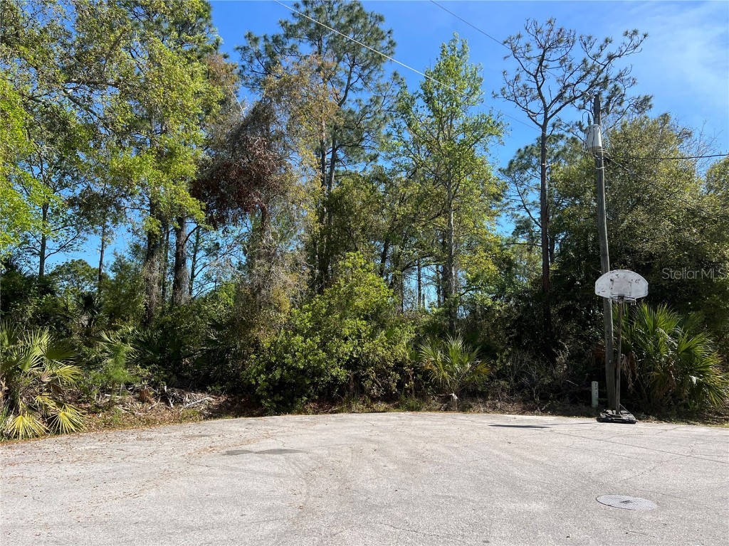 9 Waver Place Palm Coast FL 32164 FC308794 image1