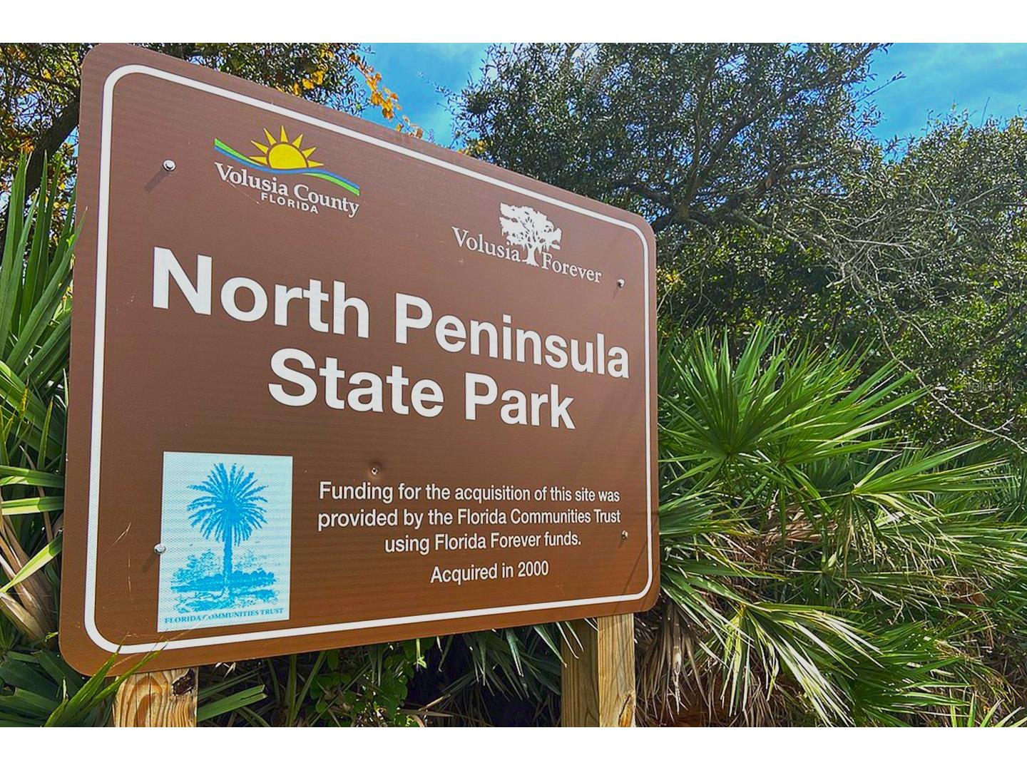 9 Wheeler Place #A B Palm Coast FL 32164 O6395372 image35