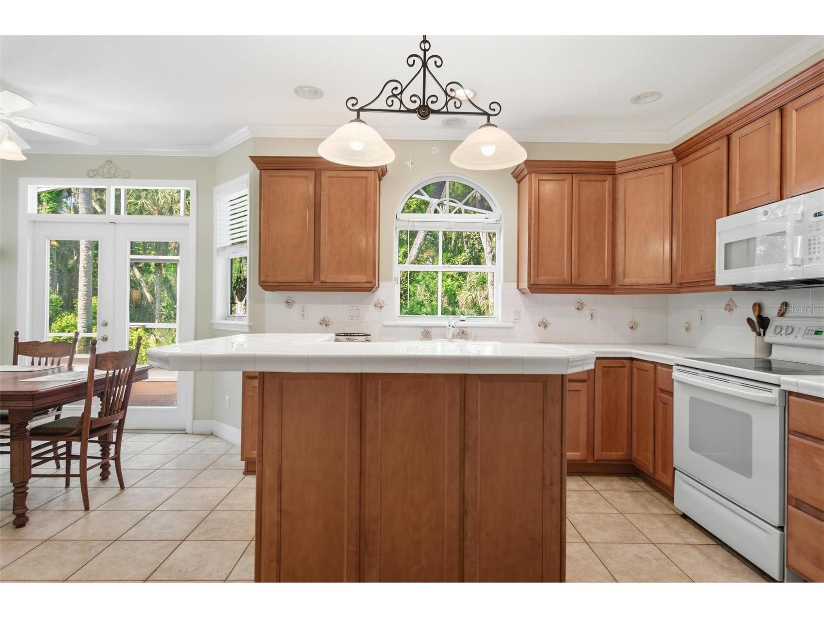 9 Whitehall Court Flagler Beach FL 32136 FC318103 image15