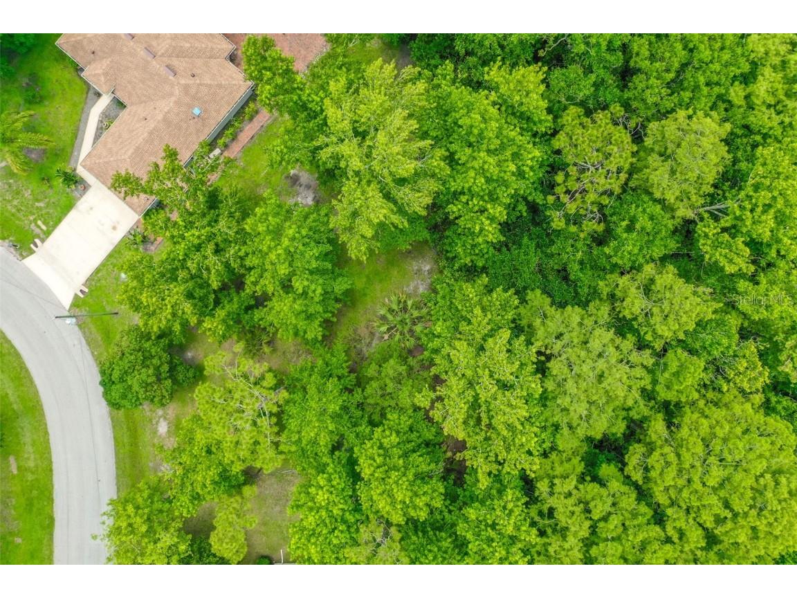 9 Zeolite Place Palm Coast FL 32164 FC310433 image1