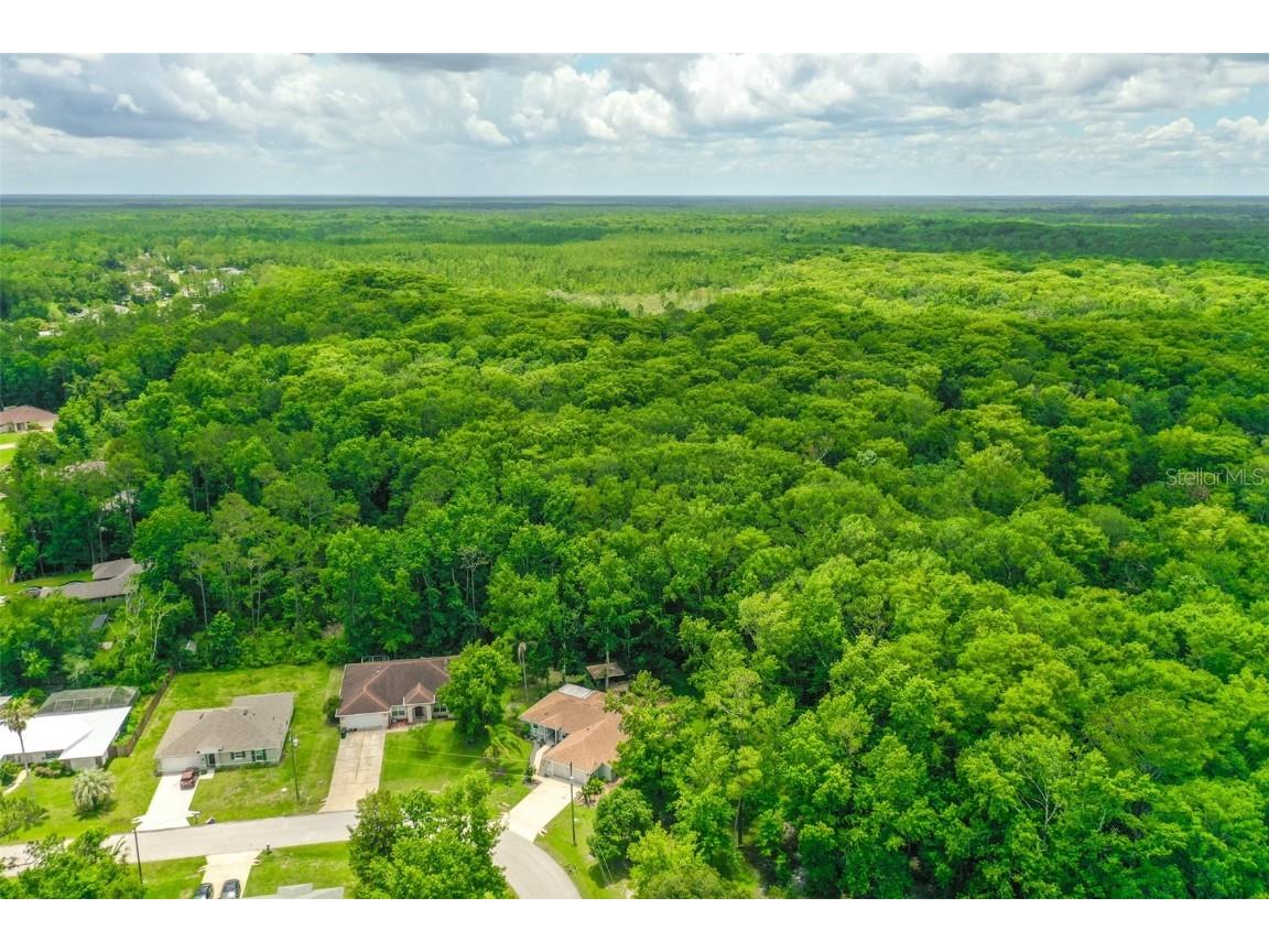 9 Zeolite Place Palm Coast FL 32164 FC310433 image5