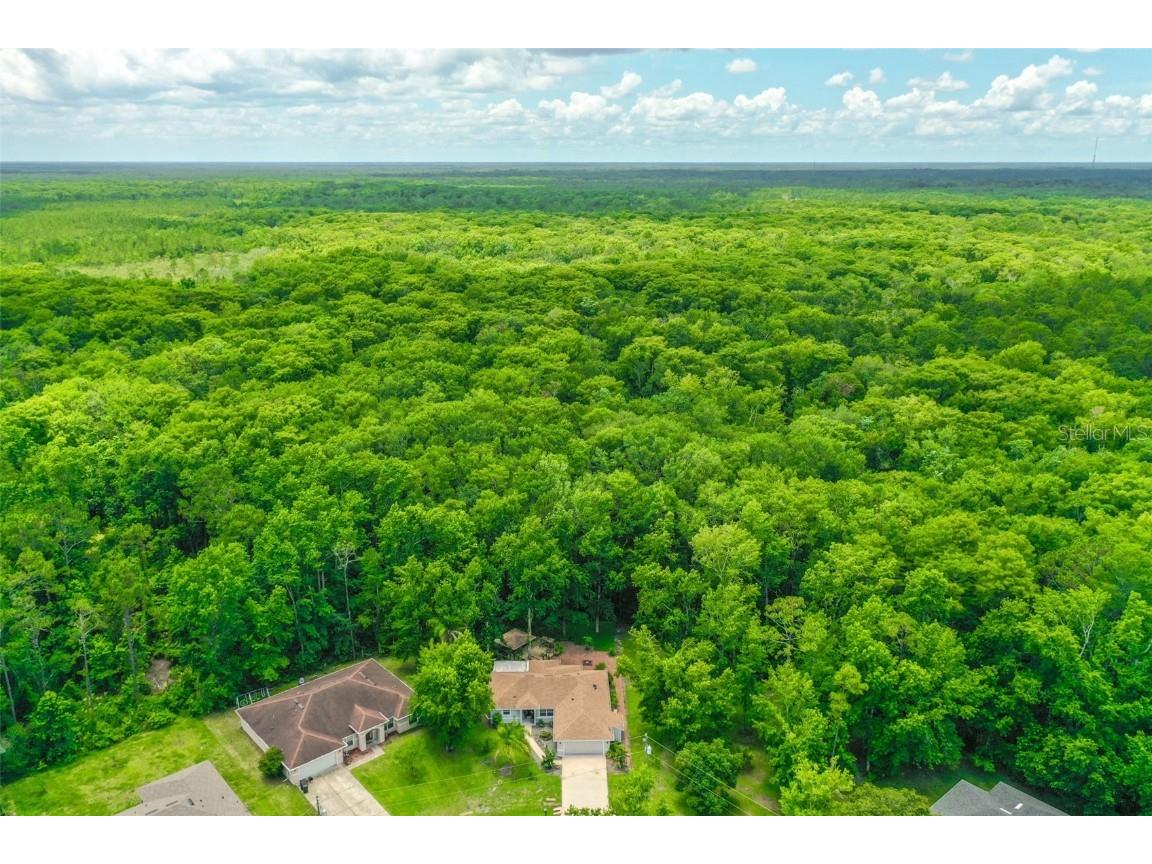 9 Zeolite Place Palm Coast FL 32164 FC310433 image6