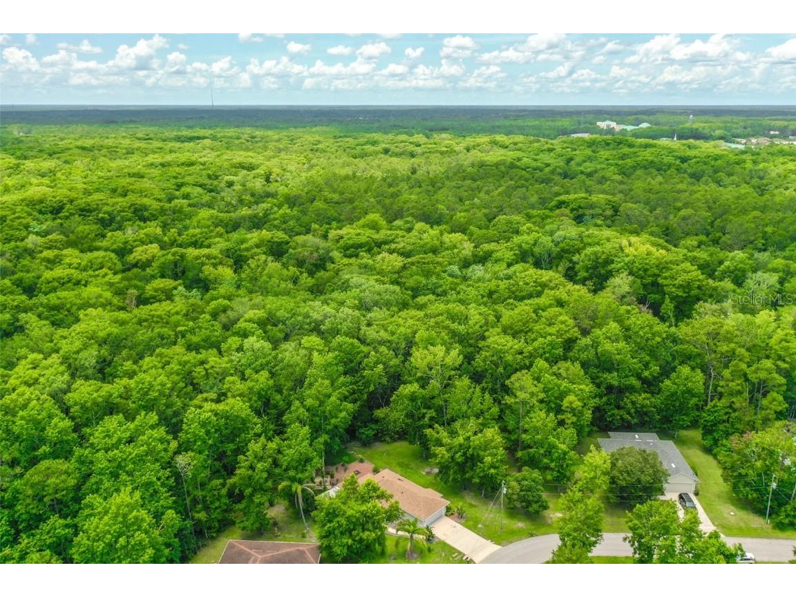 9 Zeolite Place Palm Coast FL 32164 FC310433 image7