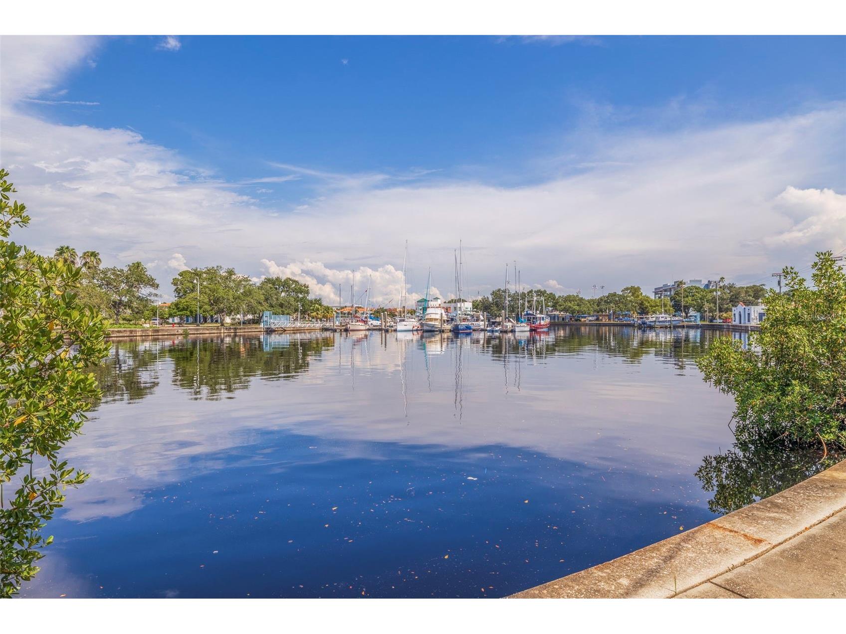 90 Columbia Drive #2 Tampa FL 33606 TB8417512 image43