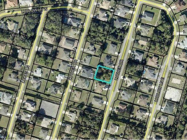 90 Luther Drive Palm Coast FL 32137 FC319092 image4