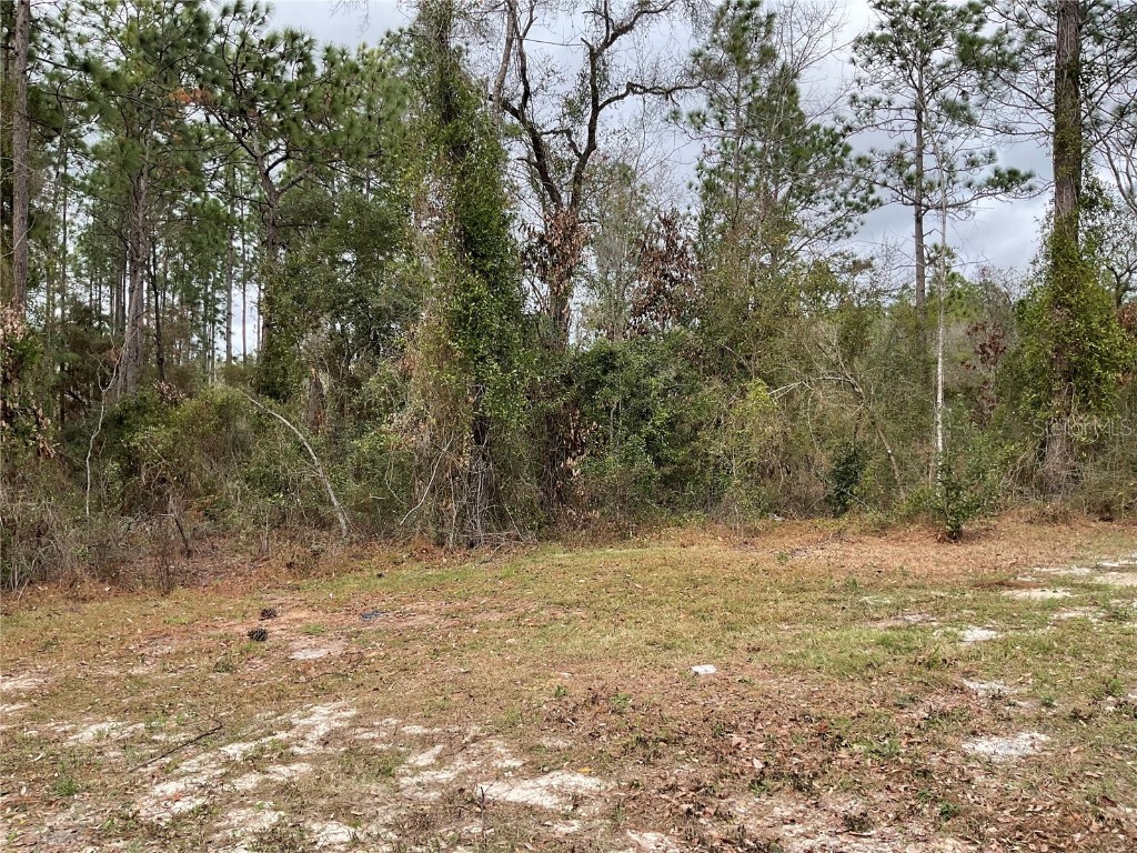 90 NE 132nd Terrace Williston FL 32696 OM715966 image12