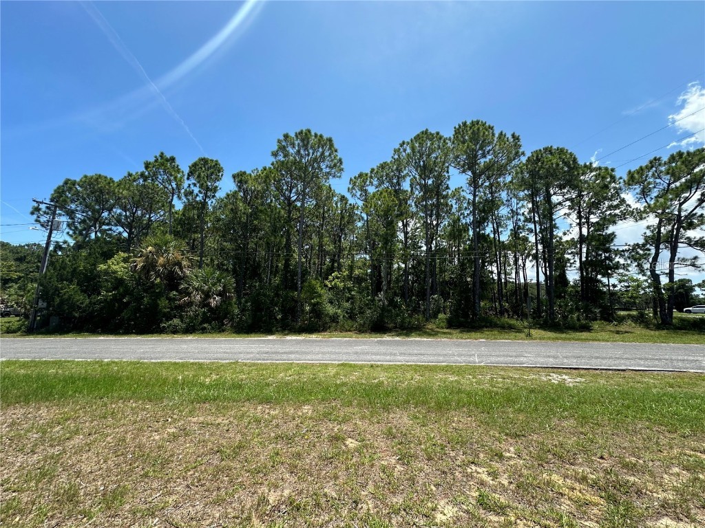 90 Palm Breeze Drive Edgewater FL 32141 NS1082117 image6