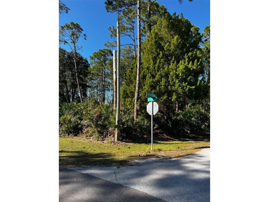 90 Ryan Drive Palm Coast FL 32164 FC295981 image1