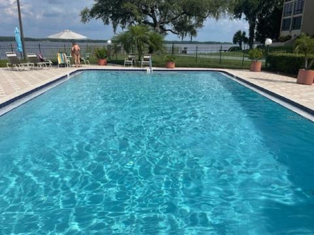 90 S Highland Avenue #1 Tarpon Springs FL 34689 TB8527589 image24