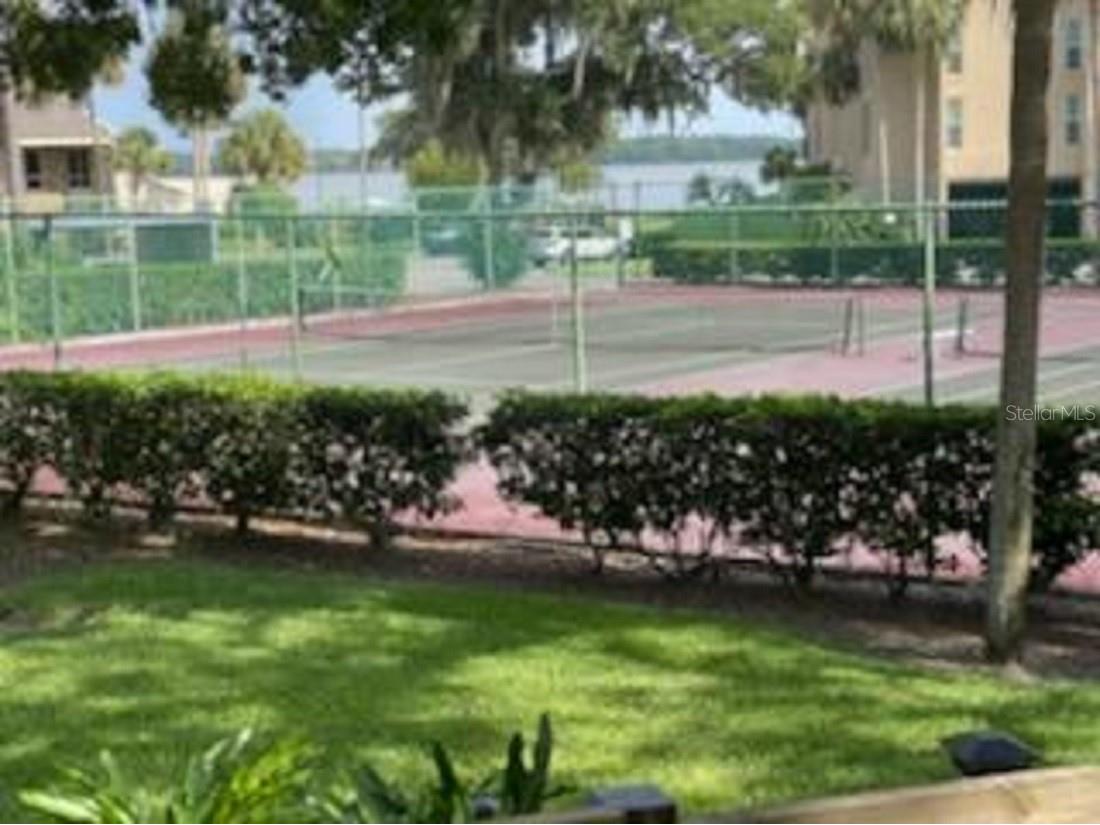 90 S Highland Avenue #1 Tarpon Springs FL 34689 TB8527589 image26
