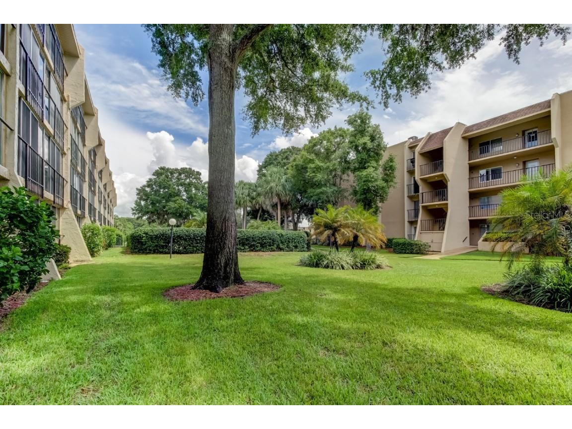 90 S Highland Avenue #112 Tarpon Springs FL 34689 TB8442667 image43