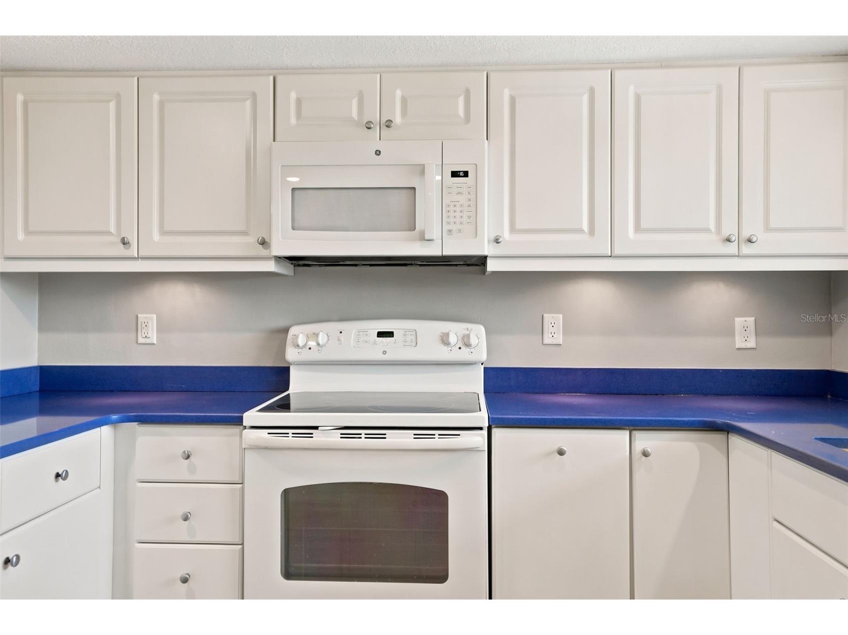90 S Highland Avenue #1414 Tarpon Springs FL 34689 W7886918 image12