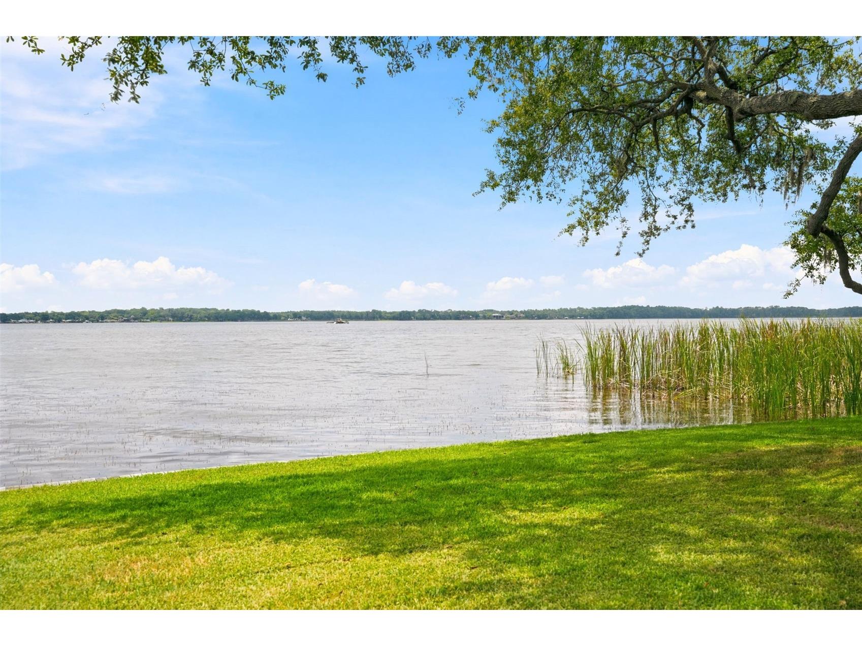 90 S Highland Avenue #1414 Tarpon Springs FL 34689 W7886918 image33