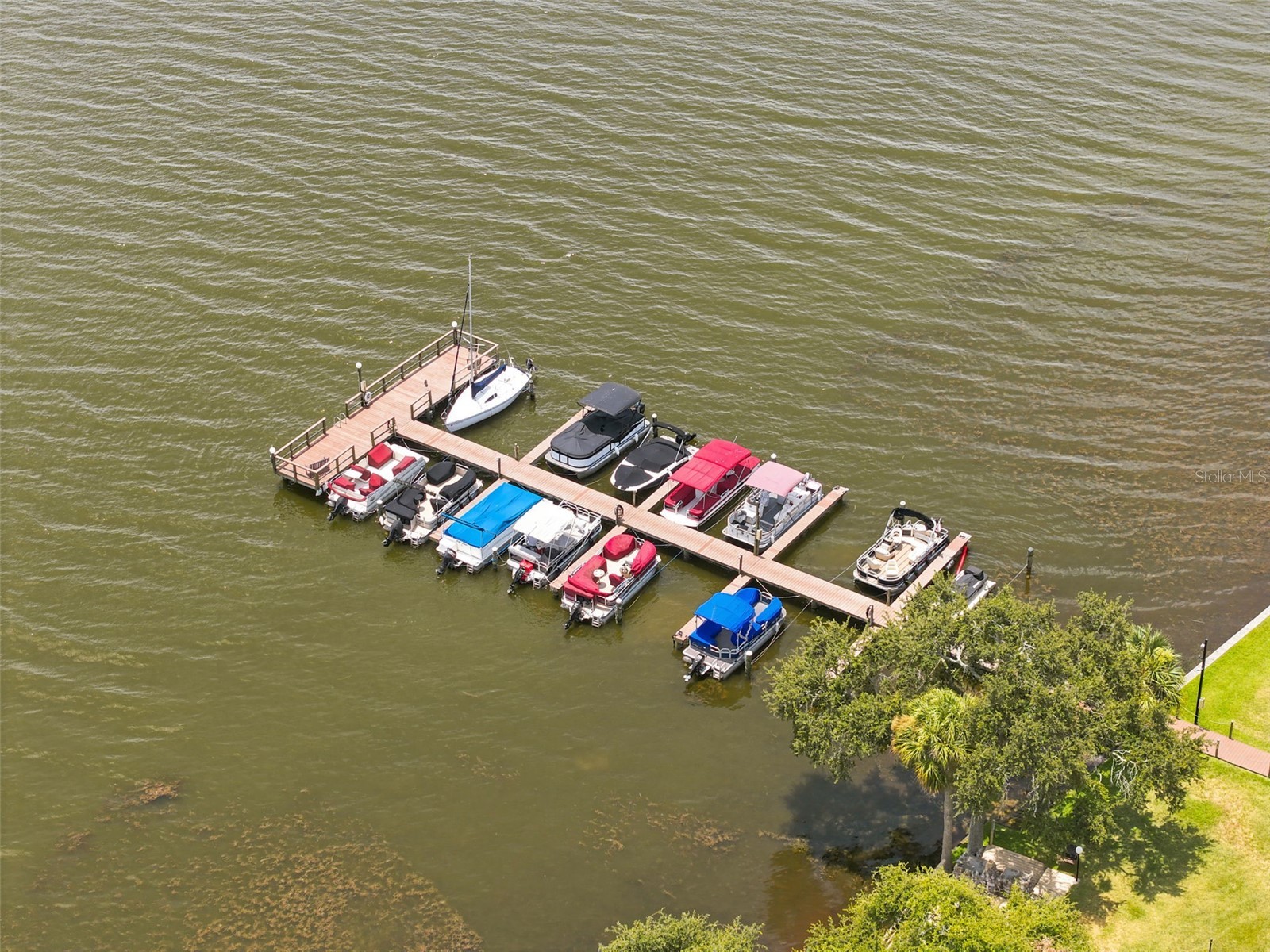 90 S Highland Avenue #1414 Tarpon Springs FL 34689 W7886918 image58
