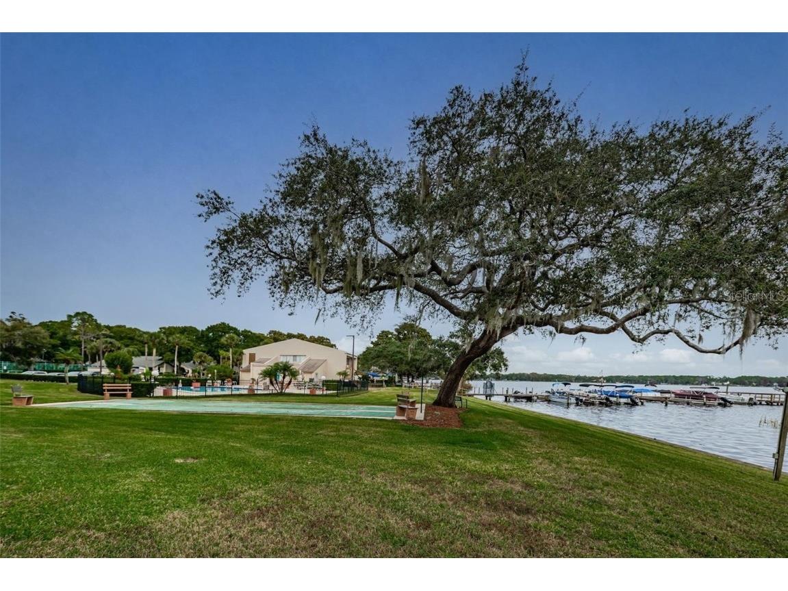 90 S Highland Avenue #214 Tarpon Springs FL 34689 TB8410391 image30