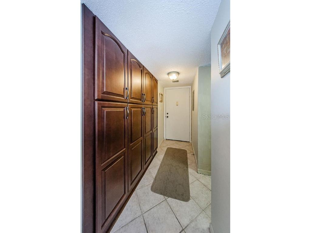 90 S Highland Avenue #214 Tarpon Springs FL 34689 TB8410391 image5