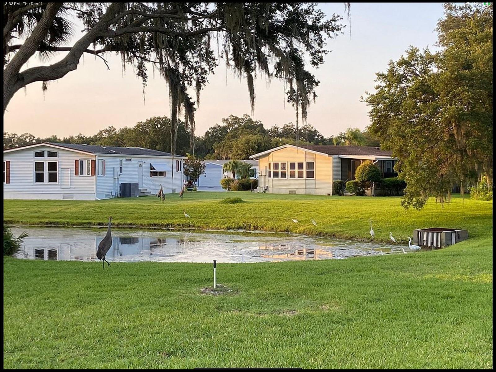 90 Whipporwill Court Ellenton FL 34222 A4675100 image8