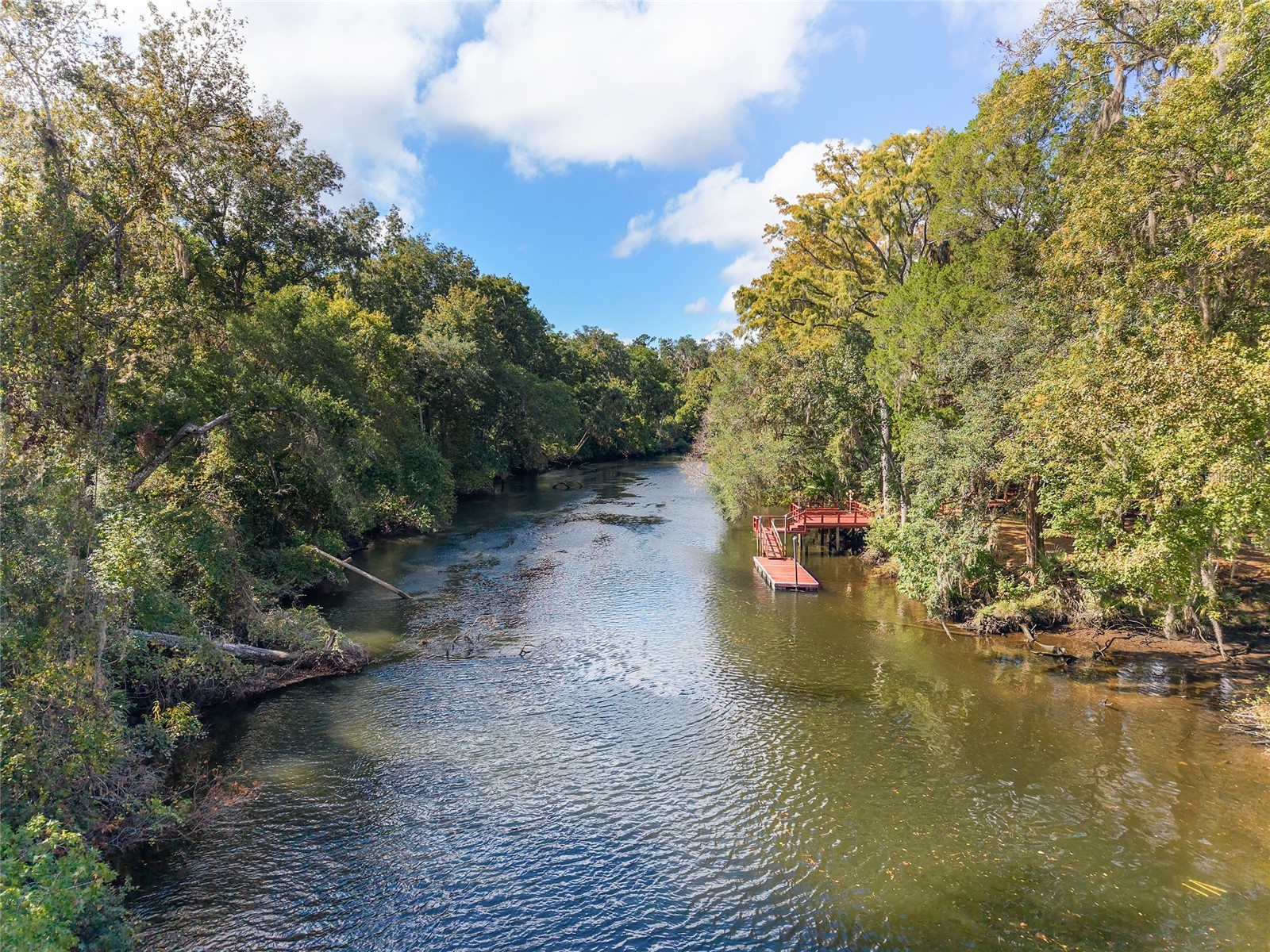 90 Winding River Lane Inglis FL 34449 - WITHLACOOCHEE RIVER OM712665 image10