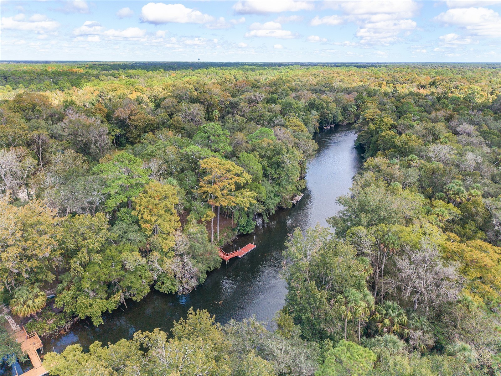 90 Winding River Lane Inglis FL 34449 - WITHLACOOCHEE RIVER OM712665 image7