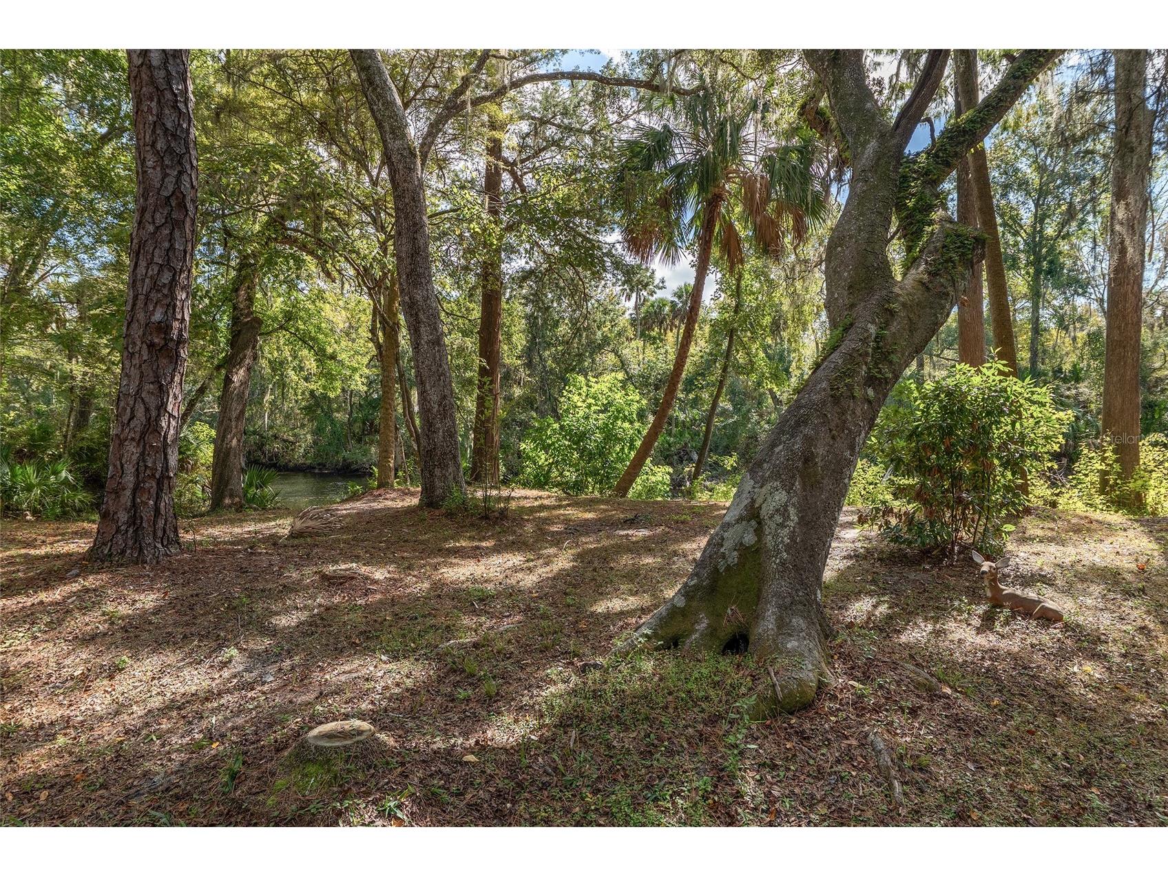 90 Winding River Lane Inglis FL 34449 - WITHLACOOCHEE RIVER OM712665 image79