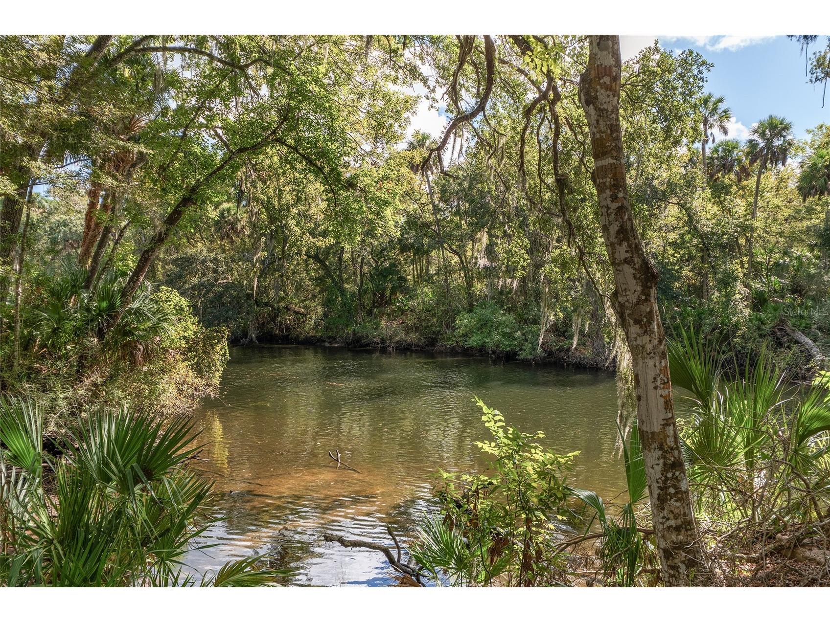 90 Winding River Lane Inglis FL 34449 - WITHLACOOCHEE RIVER OM712665 image80
