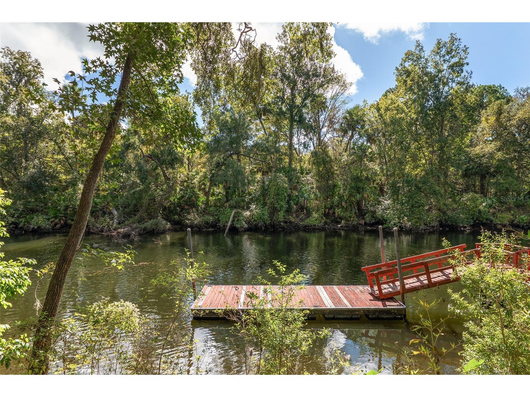 90 Winding River Lane Inglis FL 34449 - WITHLACOOCHEE RIVER OM712665 image81
