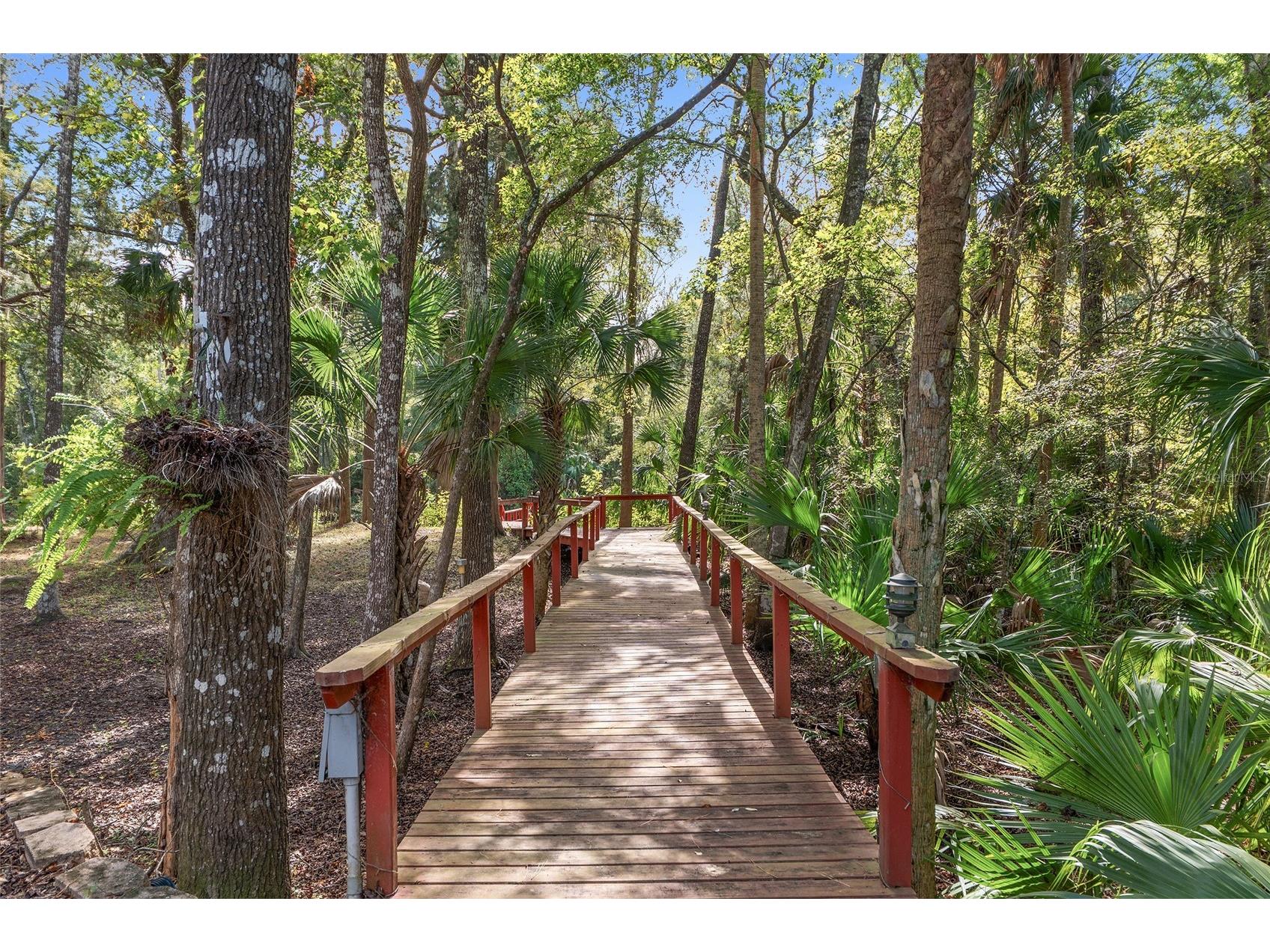90 Winding River Lane Inglis FL 34449 - WITHLACOOCHEE RIVER OM712665 image83