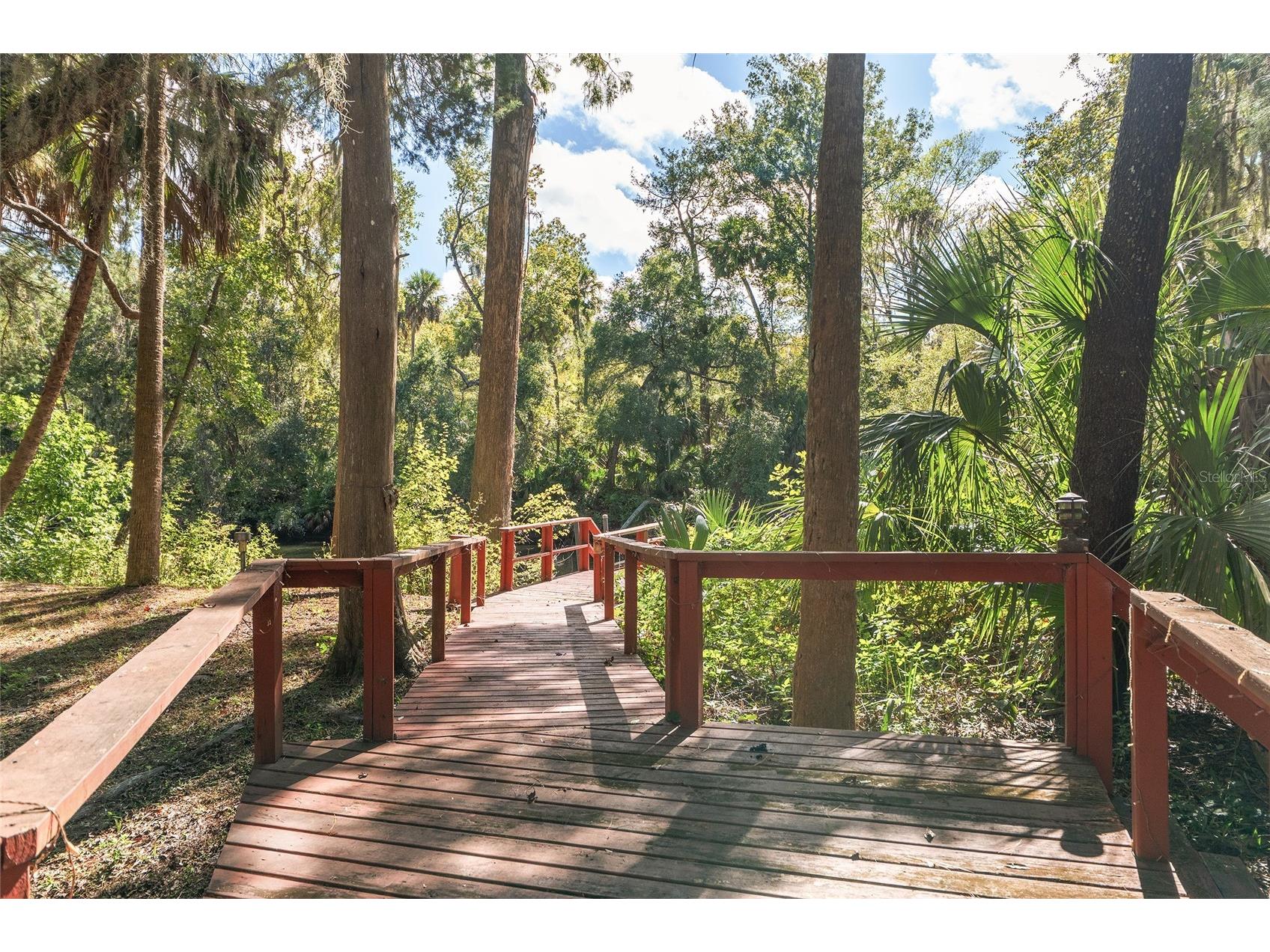 90 Winding River Lane Inglis FL 34449 - WITHLACOOCHEE RIVER OM712665 image85