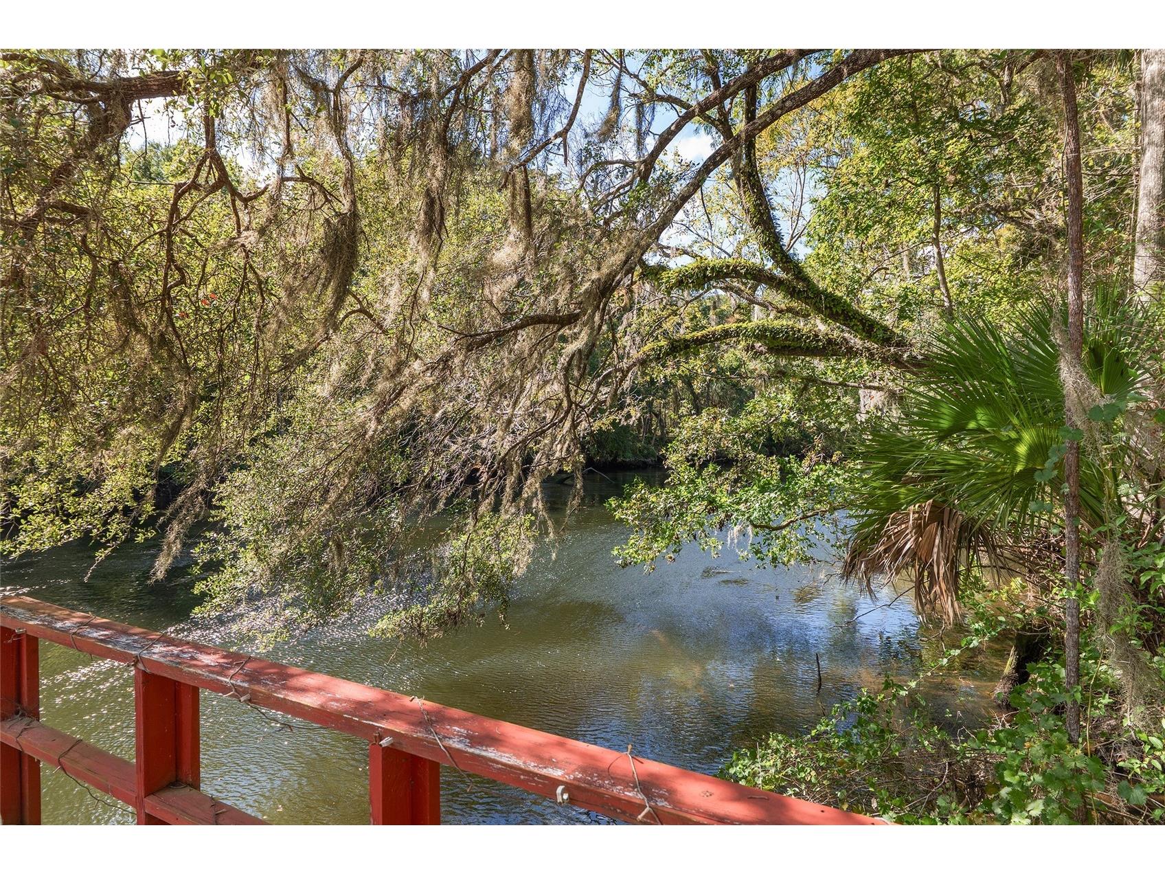 90 Winding River Lane Inglis FL 34449 - WITHLACOOCHEE RIVER OM712665 image87