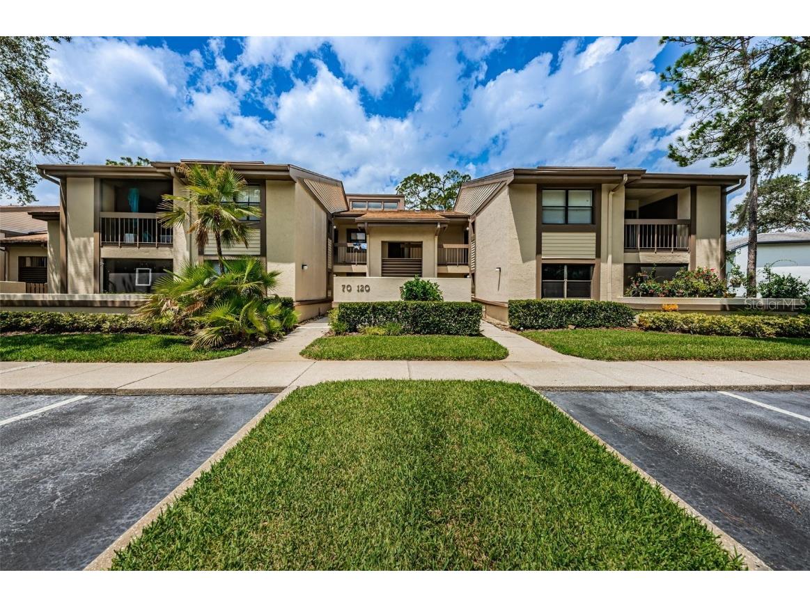 90 Woodlake Place #90 Oldsmar FL 34677 T3461936 image1