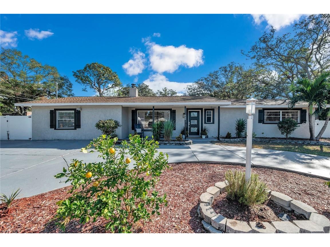 900 15th Street Palm Harbor FL 34683 TB8320931 image1