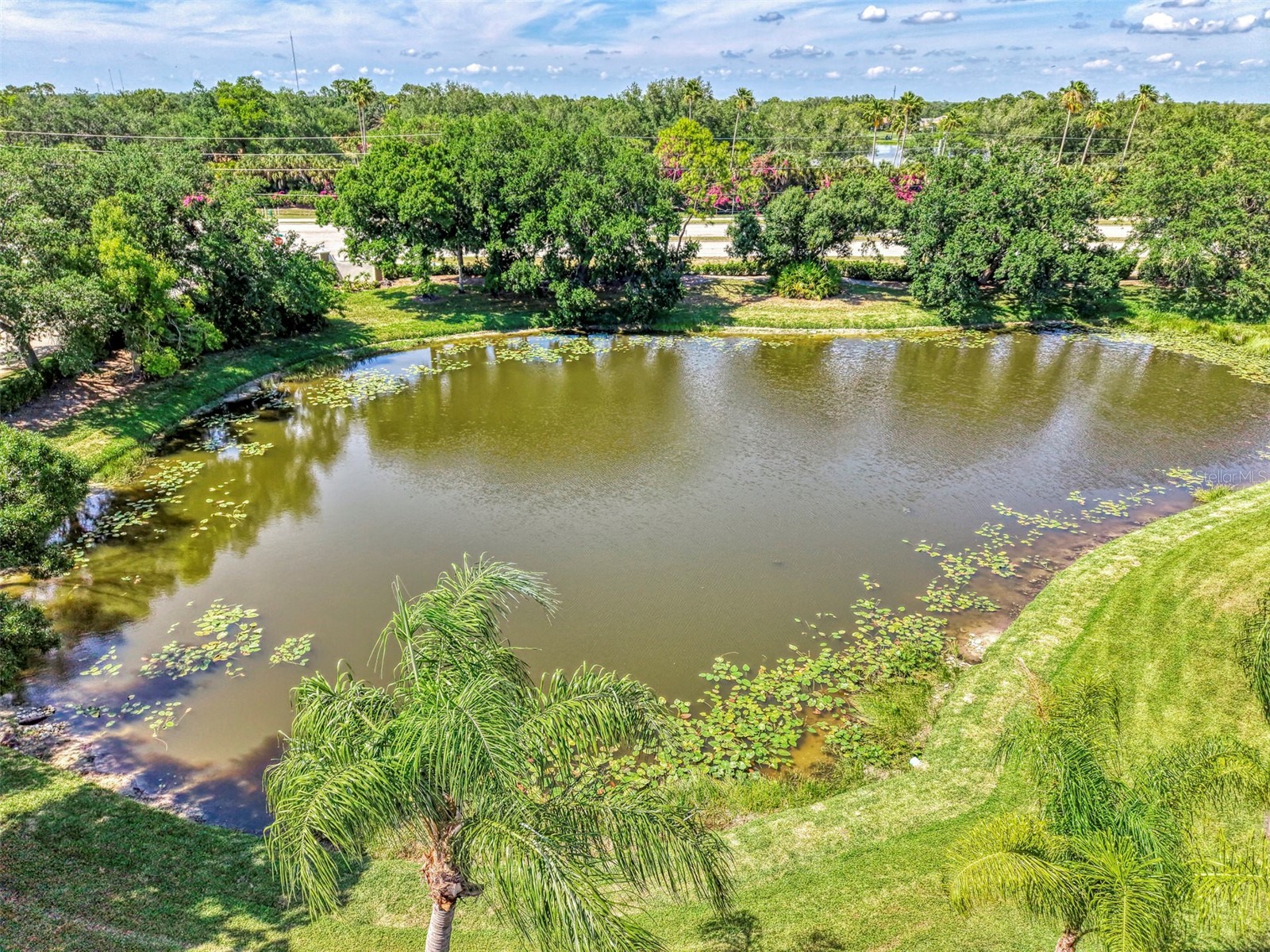 900 Addington Court #203 Venice FL 34293 N6144202 image55