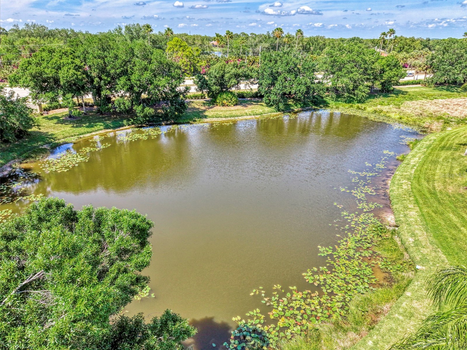 900 Addington Court #203 Venice FL 34293 N6144202 image56