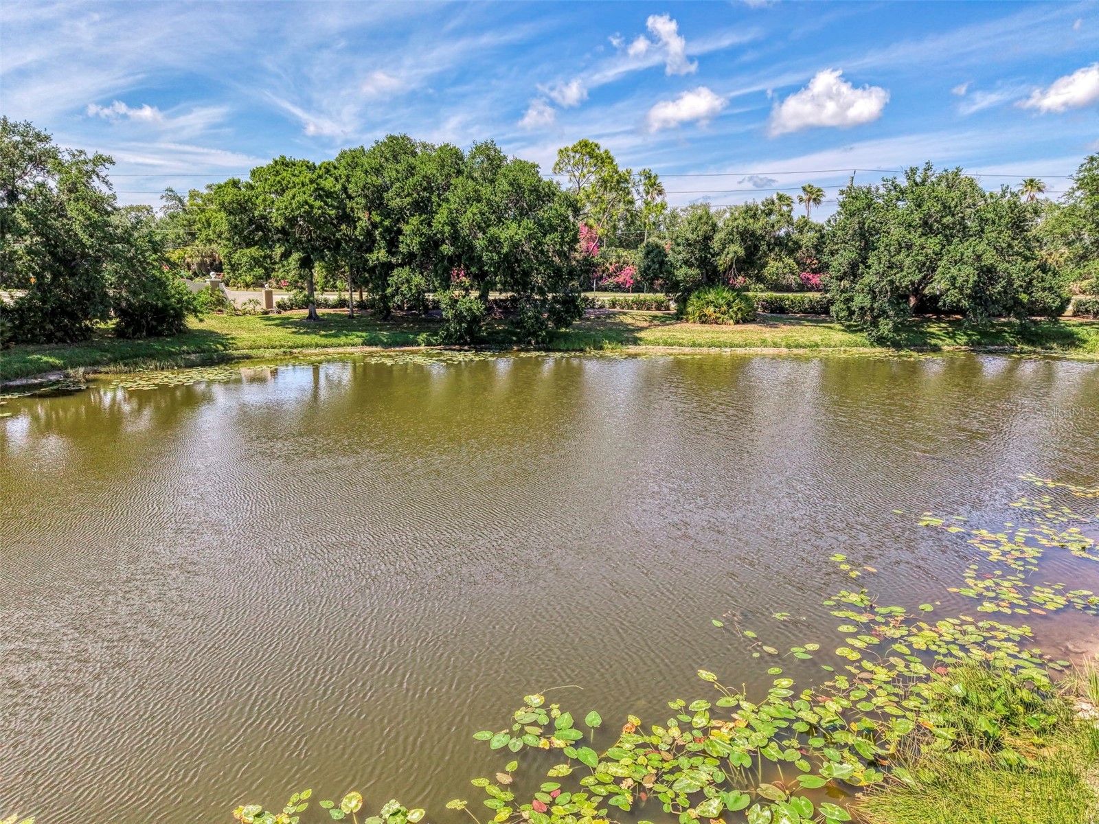 900 Addington Court #203 Venice FL 34293 N6144202 image62