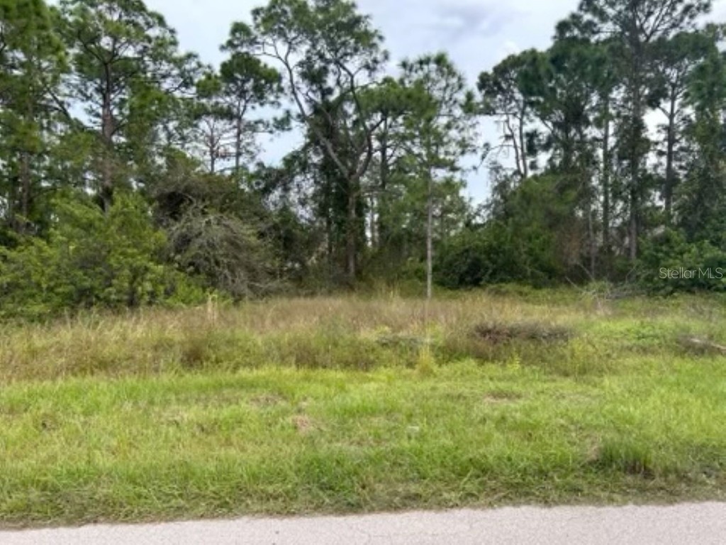 900 Anson Avenue Lehigh Acres FL 33971 OM667046 image1