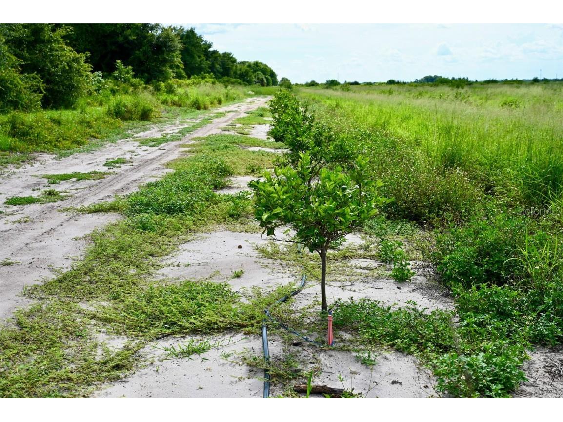 900 Arbuckle Creek Road Lorida FL 33857 OM681212 image1