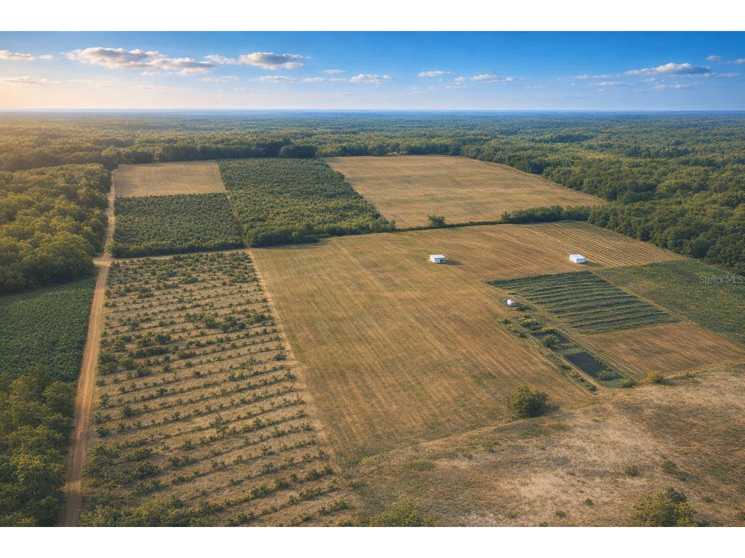 900 Buffum Church Road Fort Meade FL 33841 TB8505492 image18